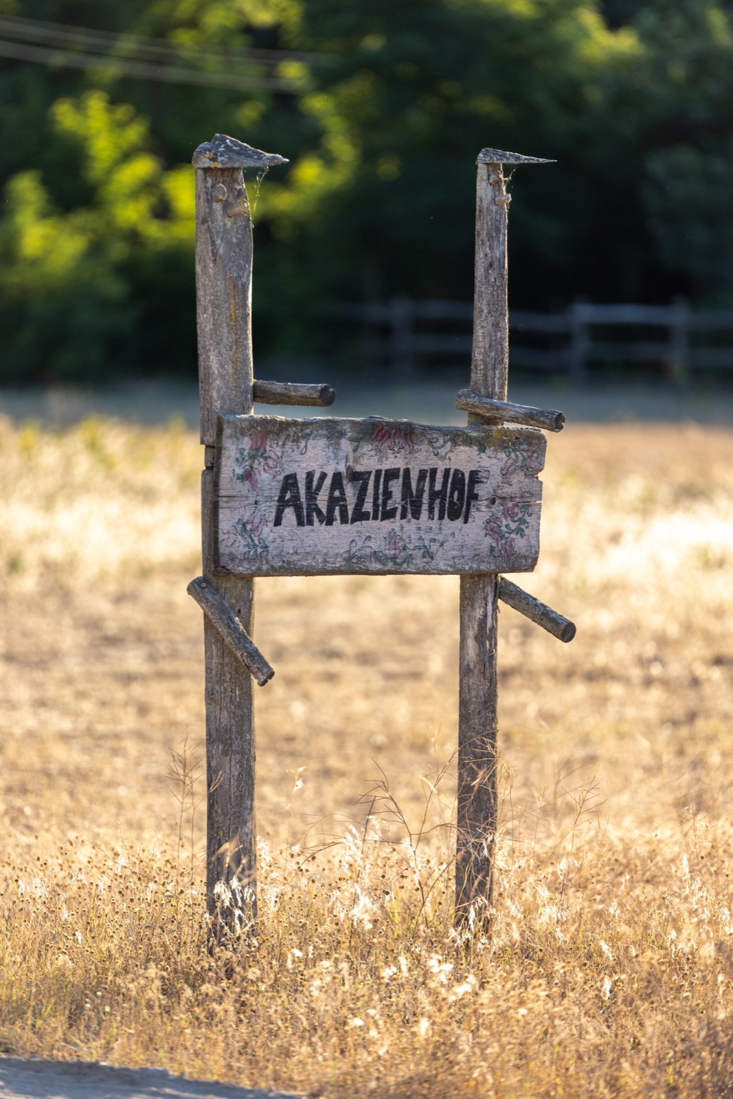 Handbemaltes Holzschild mit der Aufschrift Akazienhof auf einem goldenen Feld