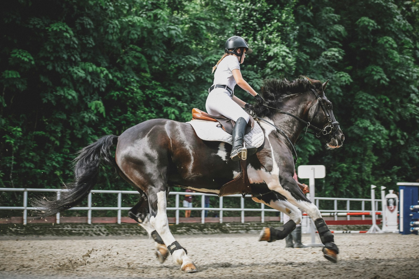 Reiterin trainiert ein Pferd auf dem Reitplatz